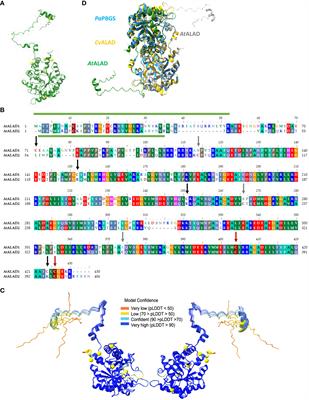 More indications for redox-sensitive cysteine residues of the Arabidopsis 5-aminolevulinate dehydratase
